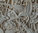 Wandrelief aus Sandstein; Motiv: Lotosblüte und Paradiesvogel
